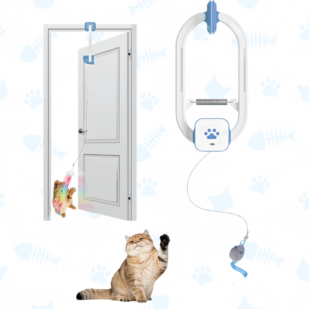 PawPounce™ Kitty Chaser