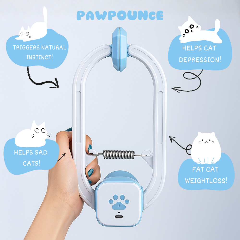 PawPounce™ Kitty Chaser