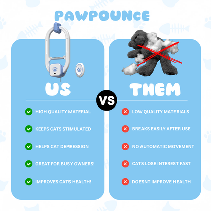 PawPounce™ Kitty Chaser
